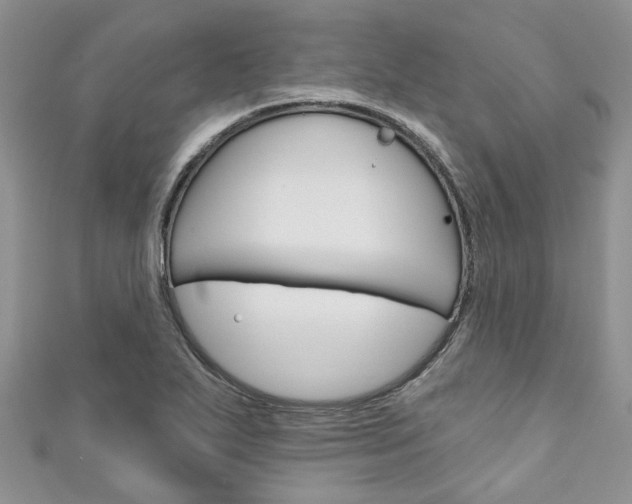 X0000111201271200907011022