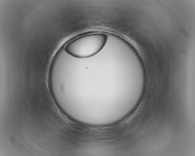 X0000111201272200907011022