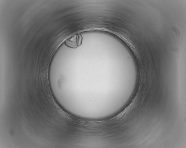 X0000111201273200907011022