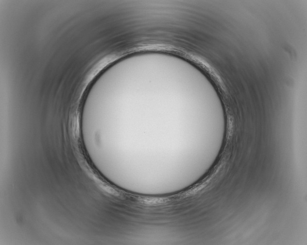X0000111201274200907011022