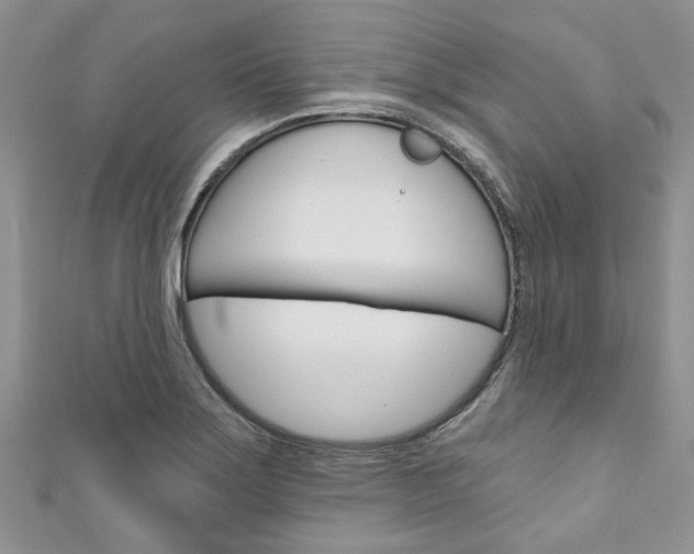 X0000111201275200907011022
