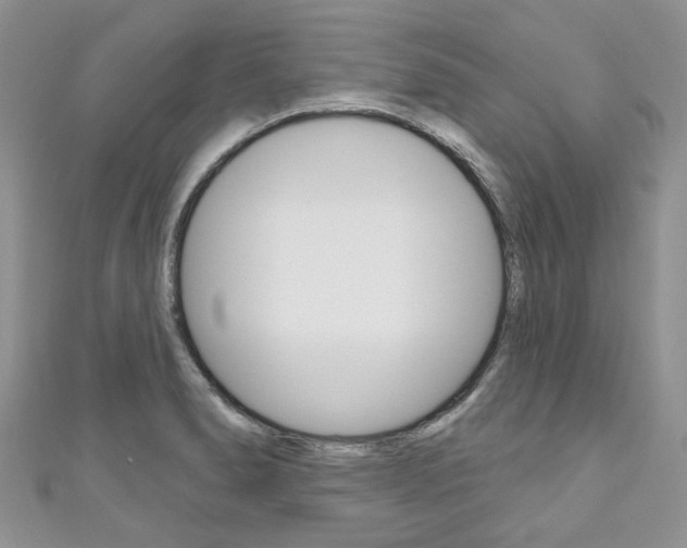 X0000111201278200907011022