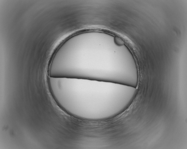 X0000111201279200907011022