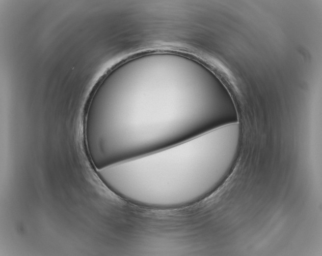 X0000111201280200907011022