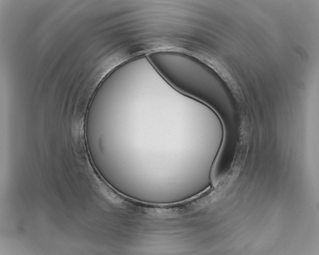 X0000111201281200907011022