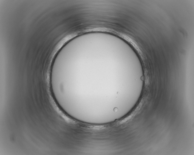 X0000111201282200907011022