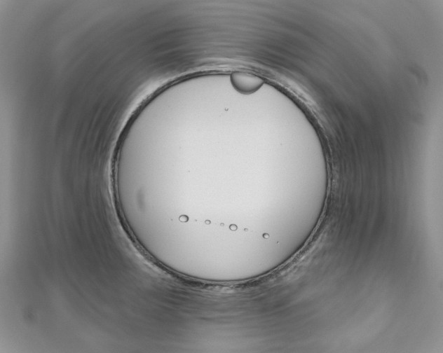 X0000111201283200907011022