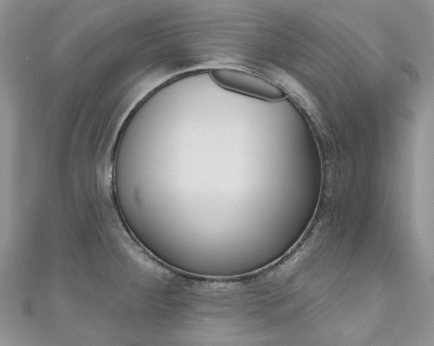 X0000111201284200907011022