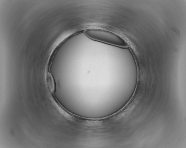 X0000111201285200907011022