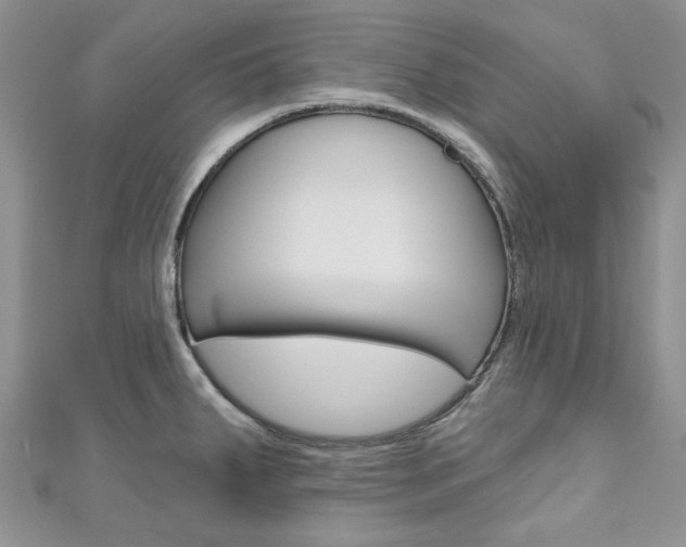 X0000111201287200907011022