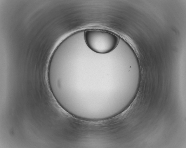 X0000111201288200907011022