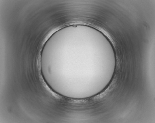 X0000111201290200907011022