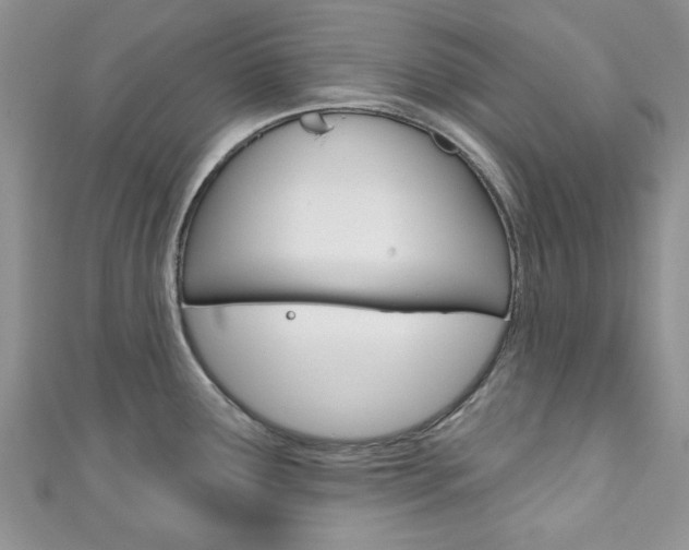 X0000111201291200907011022