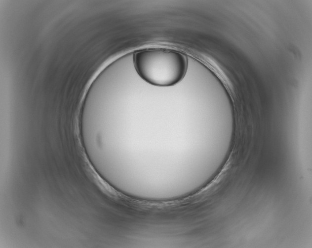 X0000111201292200907011022