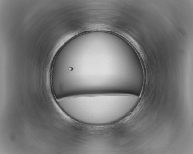 X0000111201293200907011022