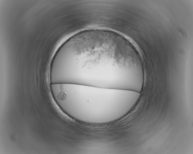 X0000111201295200907011022