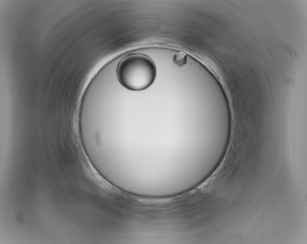 X0000111201296200907011022