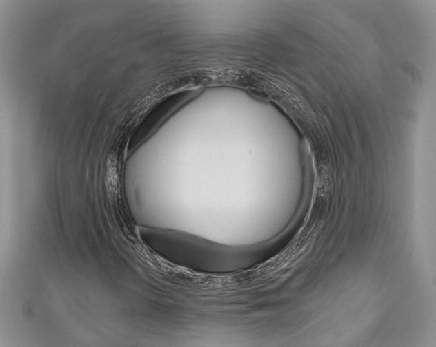 X0000111201298200907011021