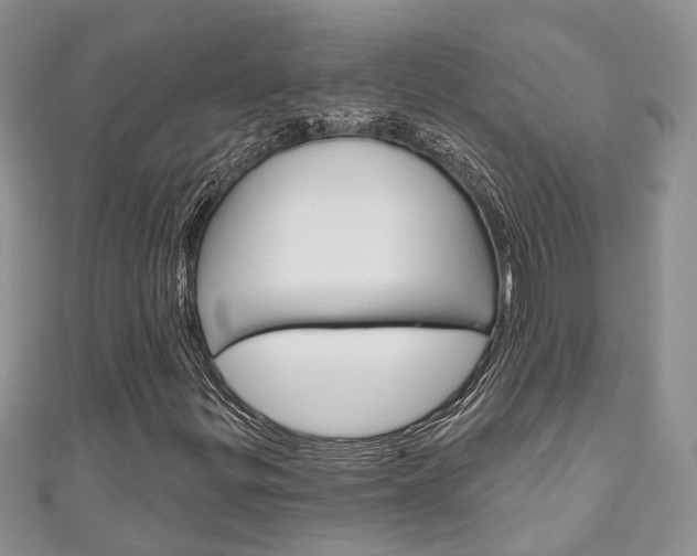X0000111201299200907011021