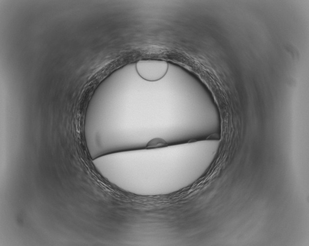 X0000111201301200907011021