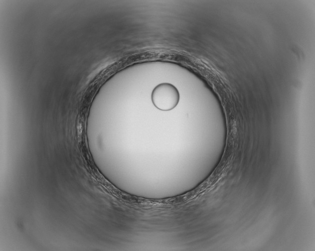 X0000111201302200907011021