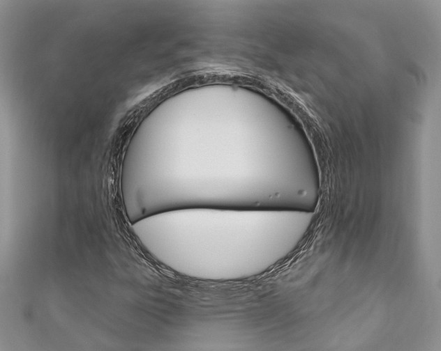 X0000111201303200907011021