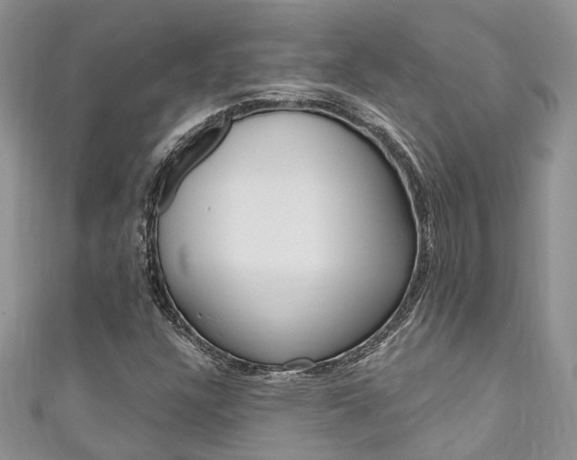 X0000111201304200907011021