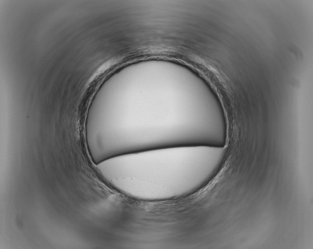 X0000111201306200907011021