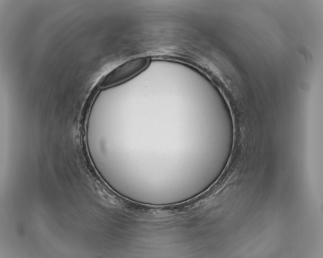 X0000111201308200907011021