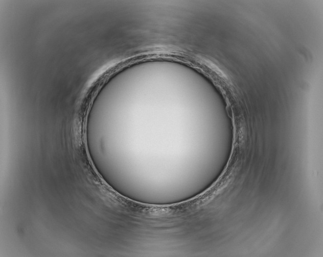 X0000111201310200907011021