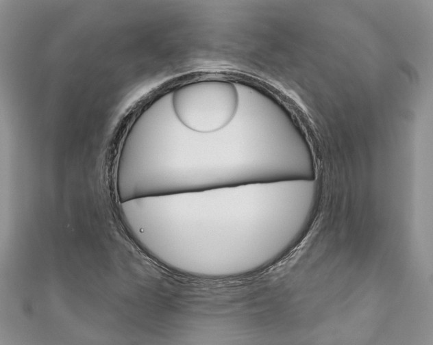 X0000111201311200907011021