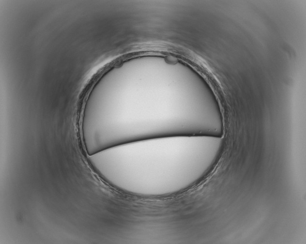 X0000111201312200907011021