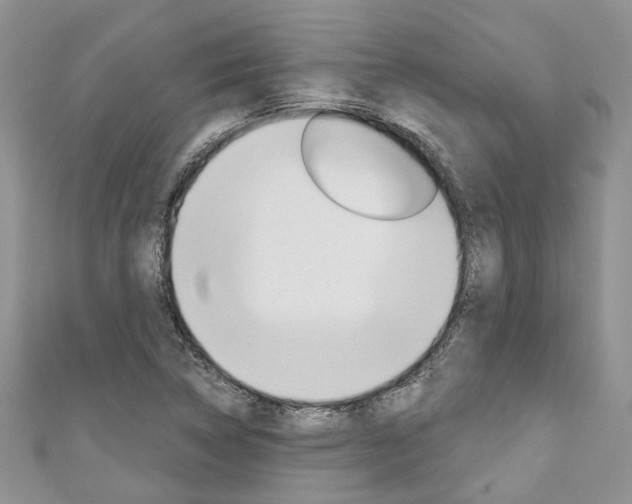 X0000111201314200907011021