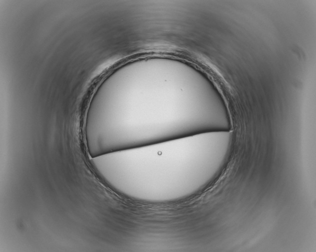 X0000111201315200907011021