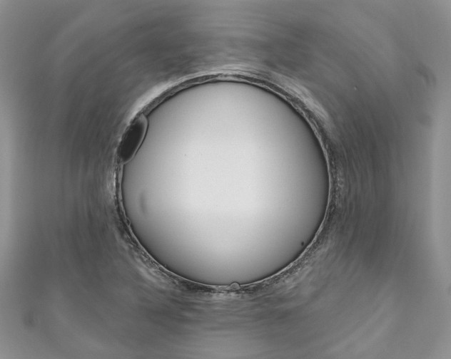 X0000111201316200907011021