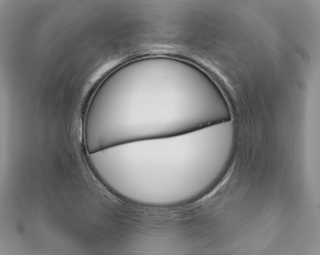 X0000111201317200907011021