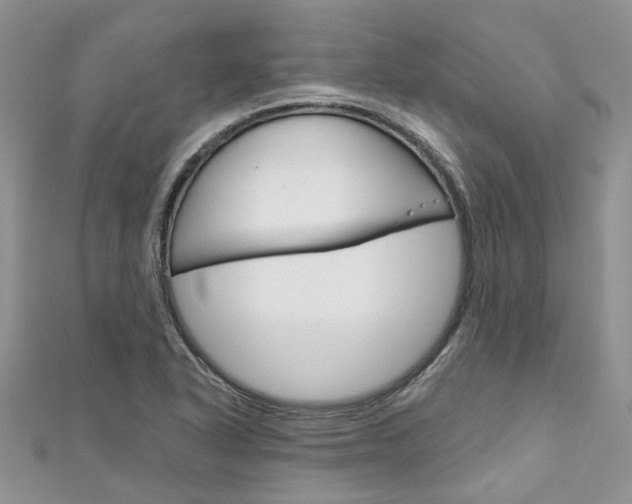 X0000111201318200907011021
