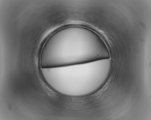 X0000111201319200907011021