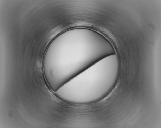 X0000111201321200907011021