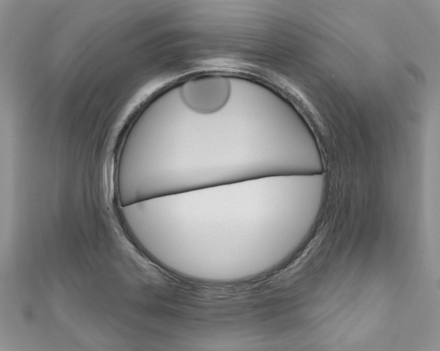 X0000111201323200907011021