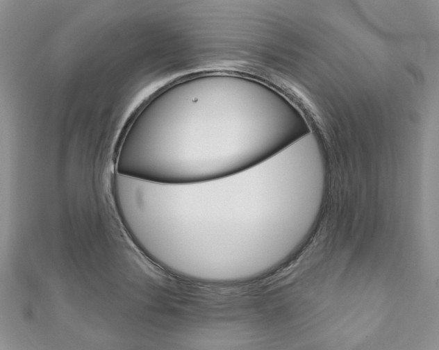 X0000111201324200907011021