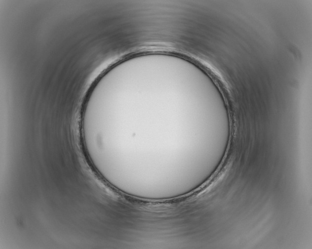 X0000111201325200907011021