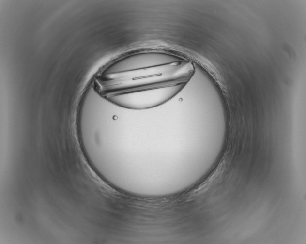 X0000111201326200907011021