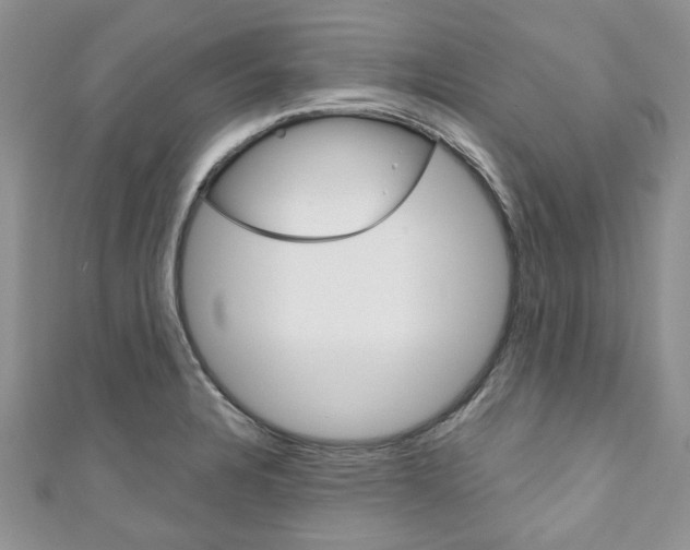 X0000111201328200907011021