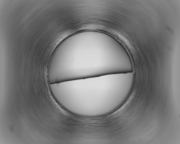 X0000111201329200907011021