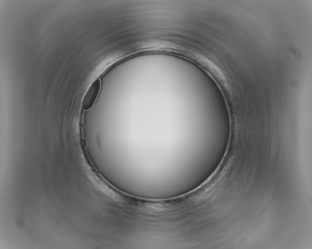 X0000111201330200907011022