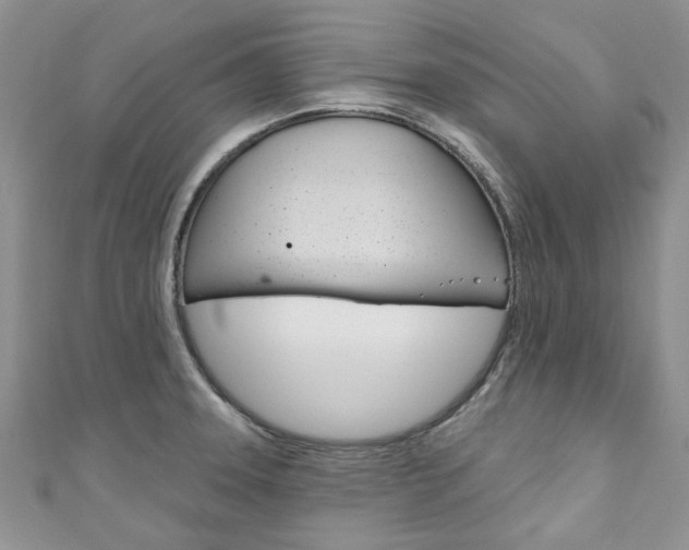 X0000111201331200907011022