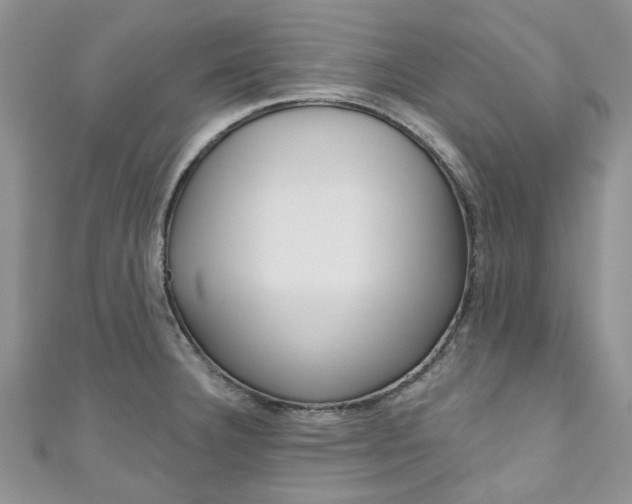 X0000111201332200907011022