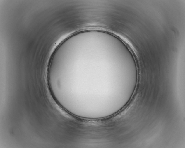 X0000111201333200907011022