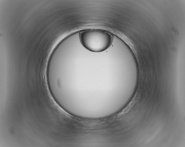 X0000111201334200907011022
